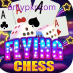 Flying Chess Game