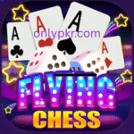 Flying chess Game