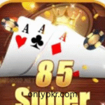Super 85 Game