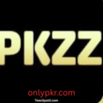 PKZZ Game