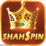 Shah Spin
