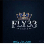 Fly33 Game