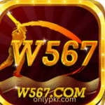 W567 Game