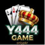 Y444 Game